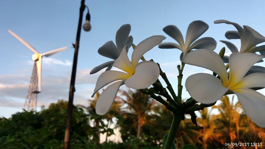 Rai Lung Tui Homestay Prachuap Khiri Khan Buitenkant foto
