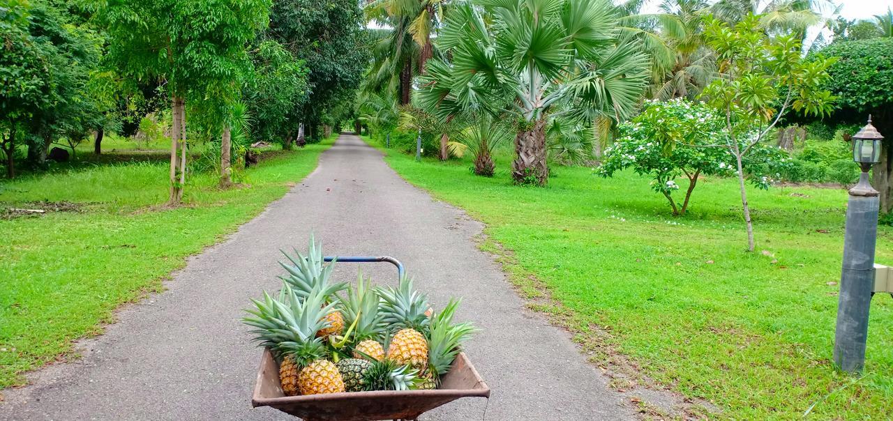 Rai Lung Tui Homestay Prachuap Khiri Khan Buitenkant foto