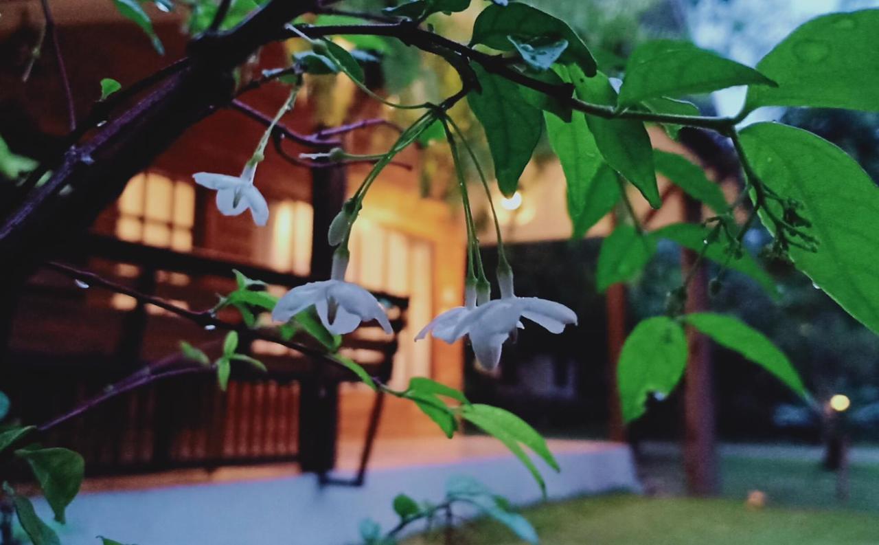 Rai Lung Tui Homestay Prachuap Khiri Khan Buitenkant foto